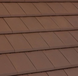 ALPHA 10 Brown