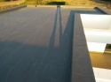 Membrana EPDM AlphaThor trójwarstwowa